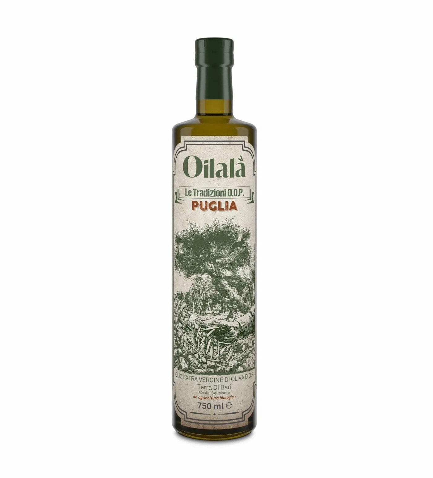 Traditionele Biologische Olijfolie Puglia – Terra di Bari D.O.P. - TheOliveLabel.shop